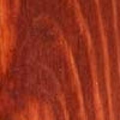 Forêt rousse  (Teinte satinée)