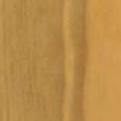 Miel (Teinte satinée)