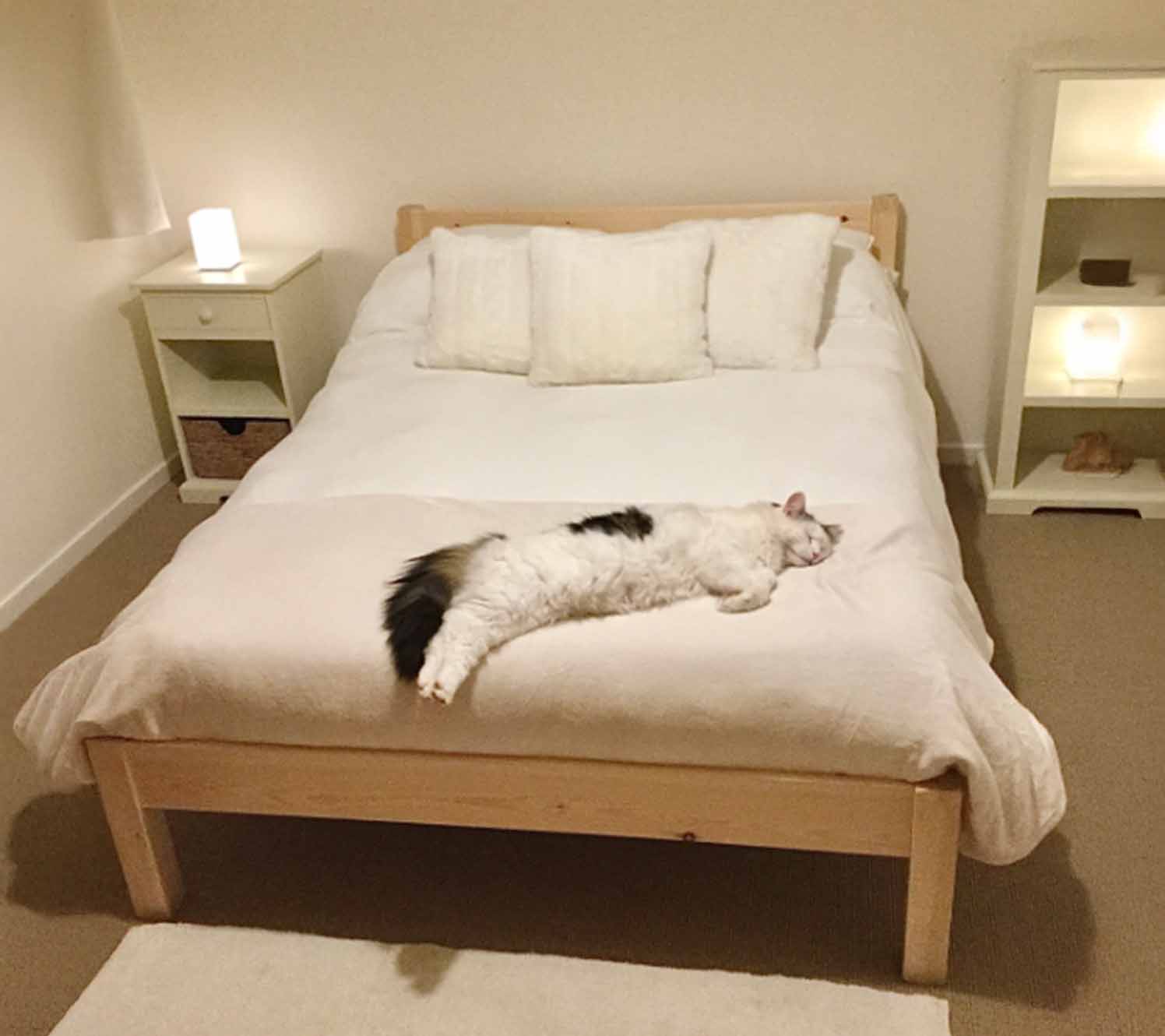 Balanced Layouts for Everyday Living