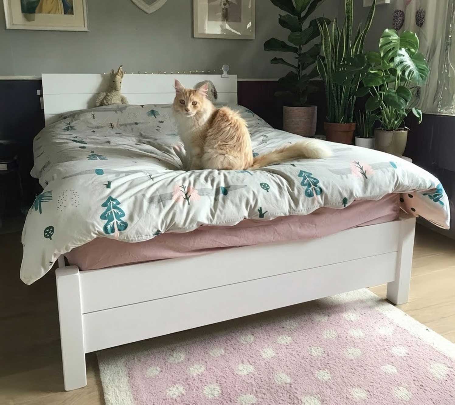 plantes vertes idées de décoration pour une chambre grise