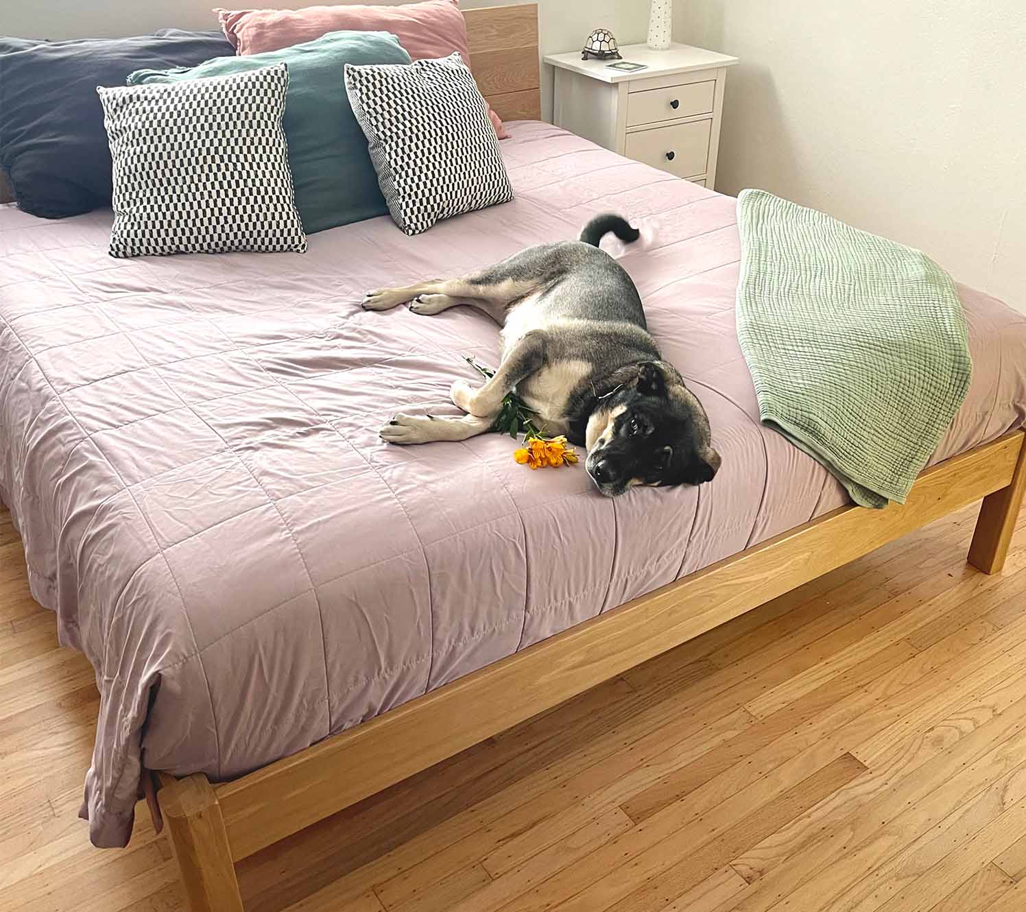 Bois chaleureux pour les styles de décoration chambre principale