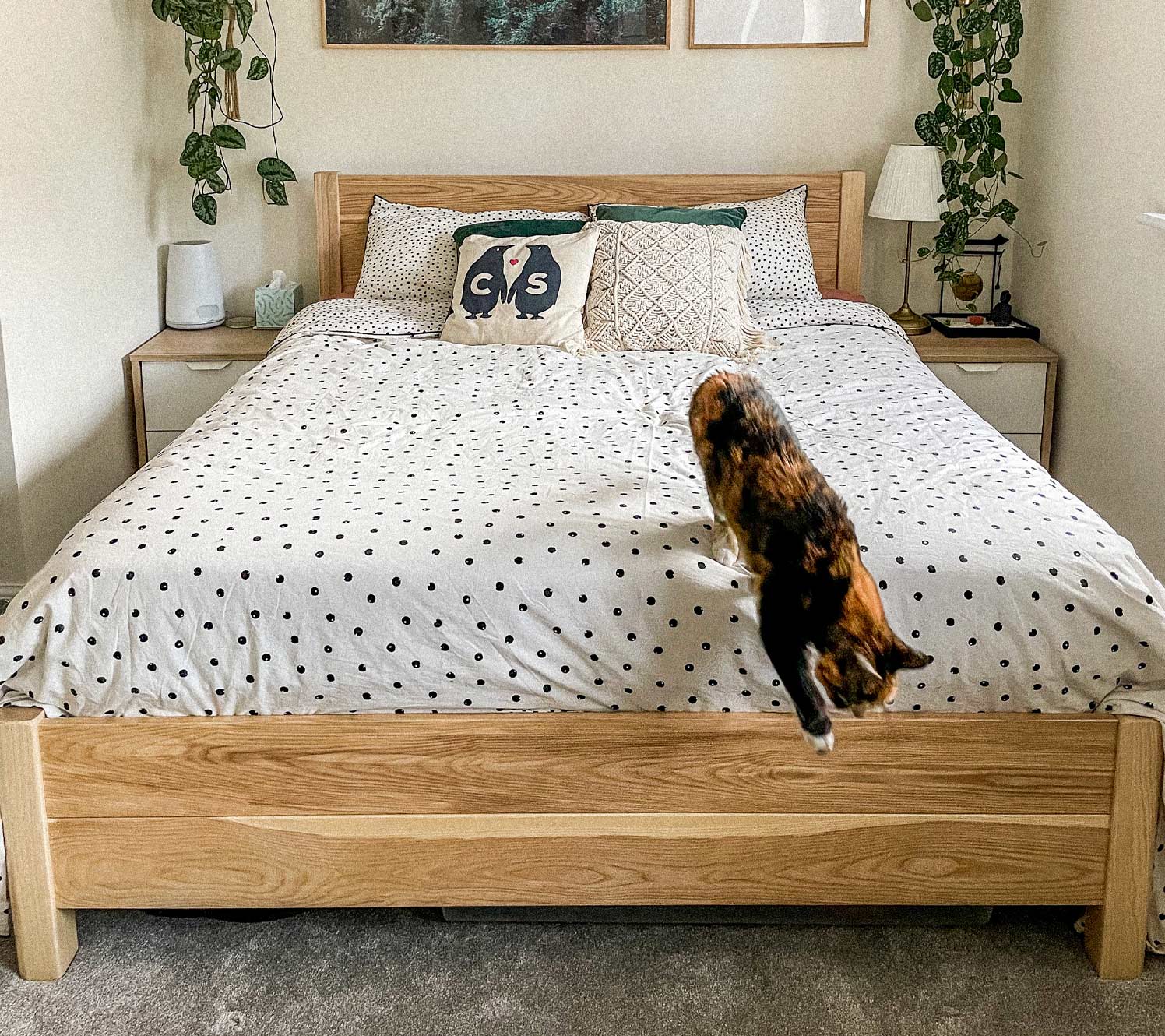 Couleurs claires et idées de décoration pour chambres longues.