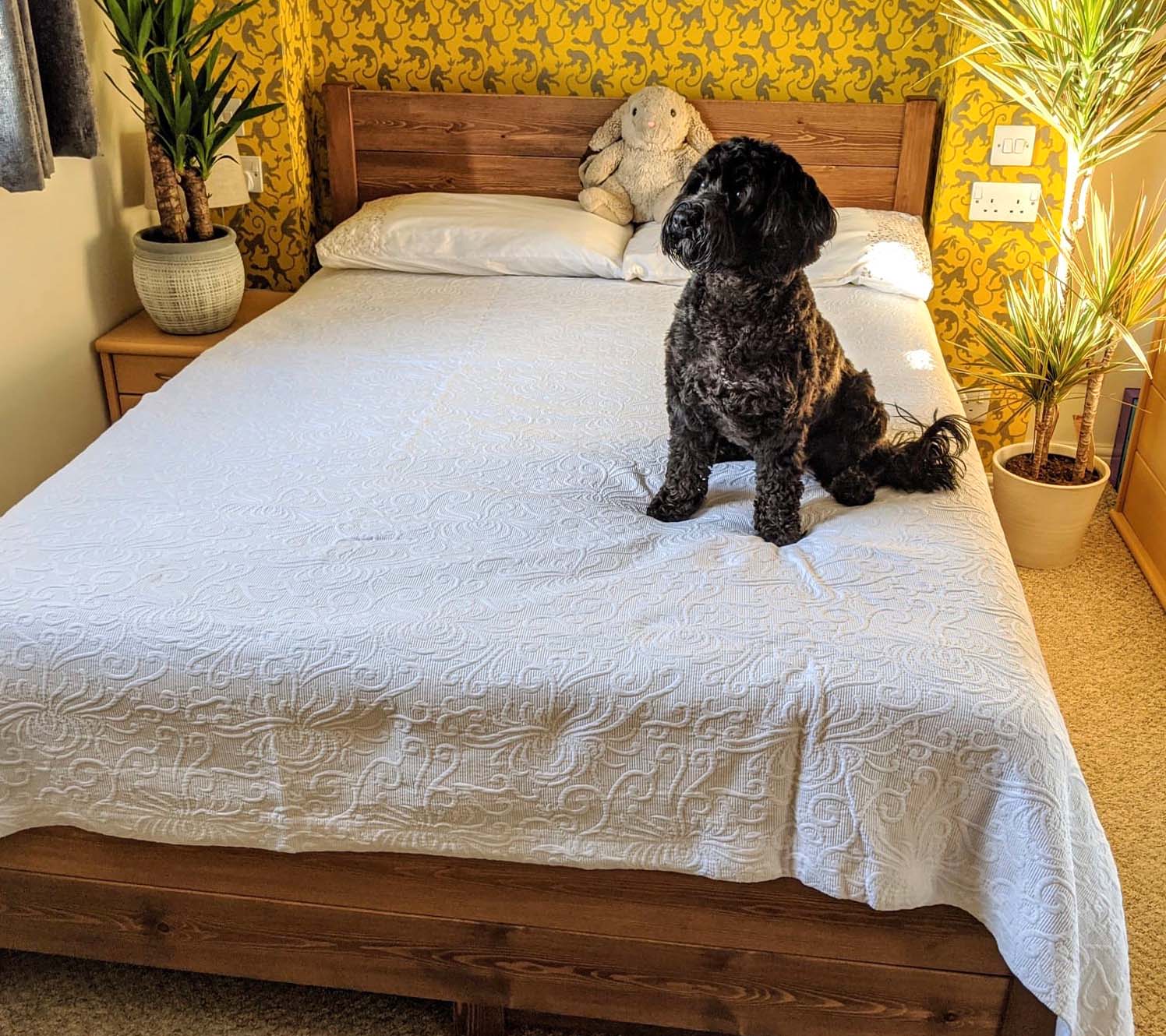 design pour petite chambre : moins de contraste, plus de continuité
